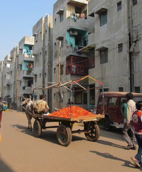 Decentralized Governance or Passing the Buck: the Case of Resident Welfare Associations at Resettlement Sites, Ahmedabad, India