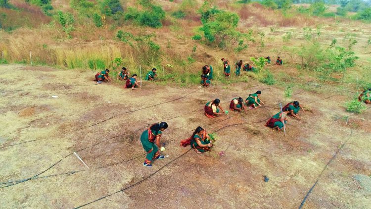 WOMEN COLLECTIVES AMALNER GREENING MANAGEMENT