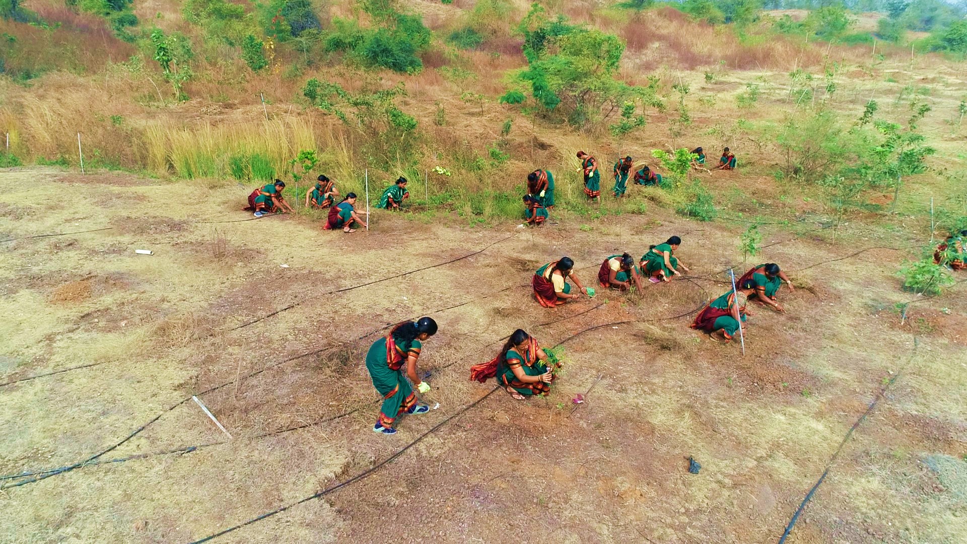 WOMEN COLLECTIVES AMALNER GREENING MANAGEMENT