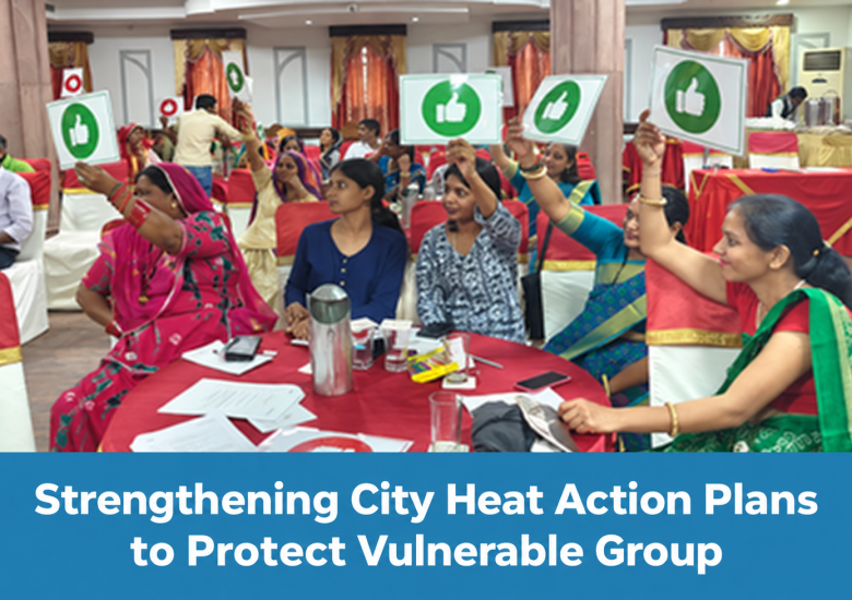 Strengthening City Heat Action Plans to Protect Vulnerable Groups